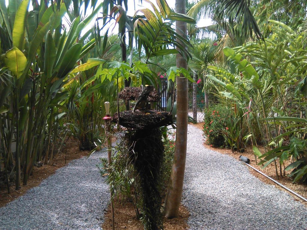 Cabinas Tropicales Puerto Jiménez Pokoj fotografie