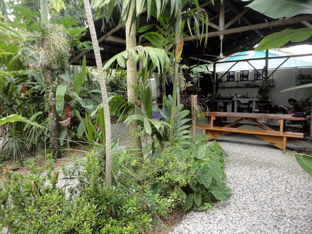 Cabinas Tropicales Puerto Jiménez Pokoj fotografie