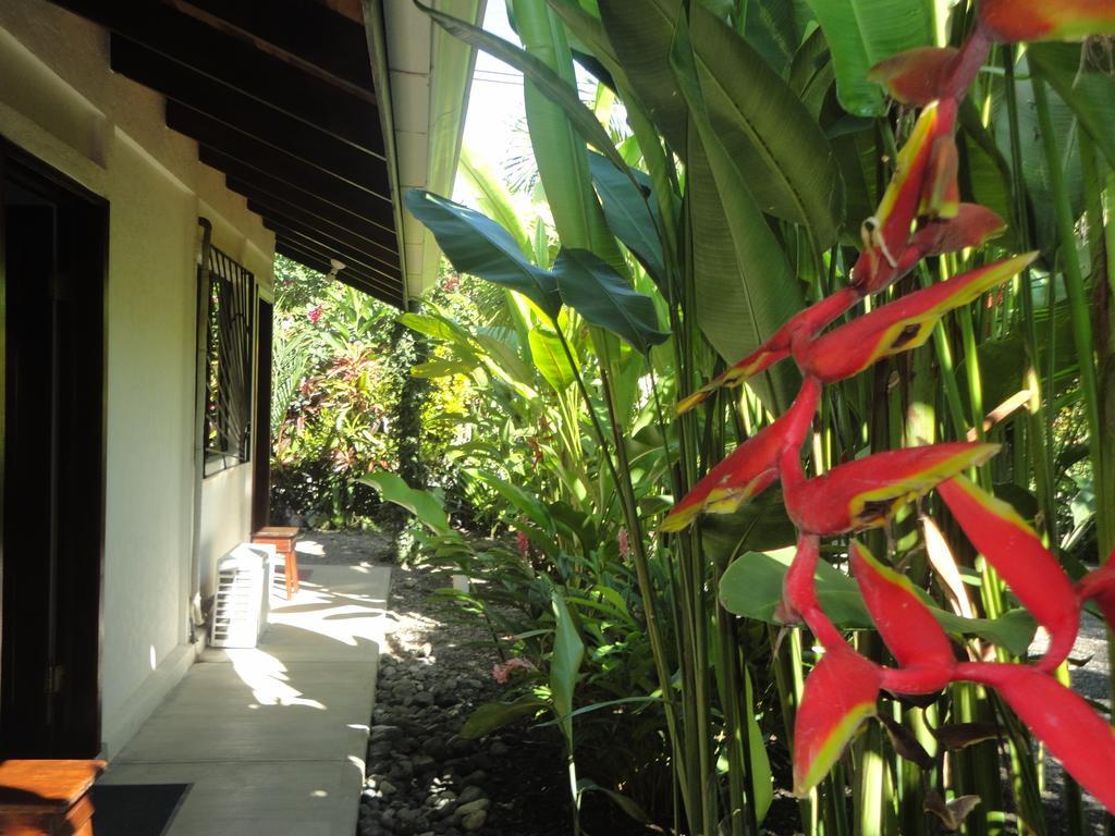Cabinas Tropicales Puerto Jiménez Pokoj fotografie