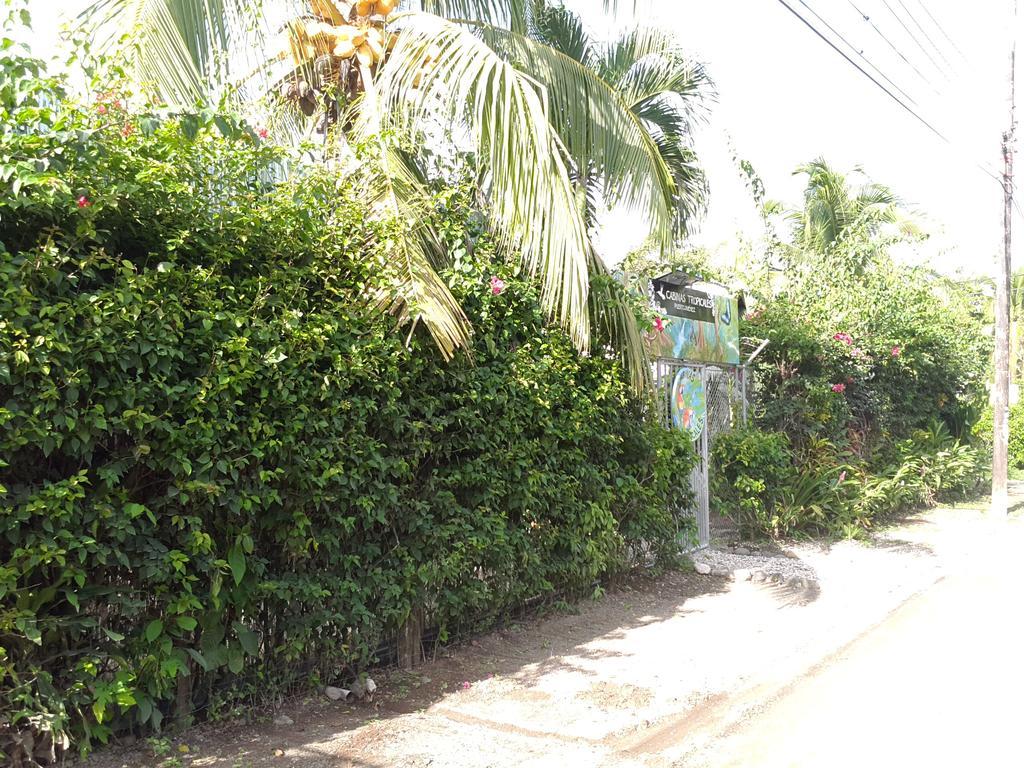 Cabinas Tropicales Puerto Jiménez Exteriér fotografie